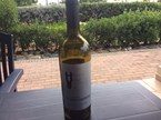 Modesto The Original Dark Horse Cabernet Sauvignon 2015